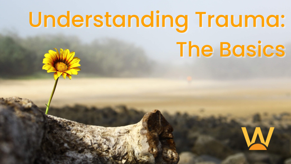 Understanding Trauma: The Basics