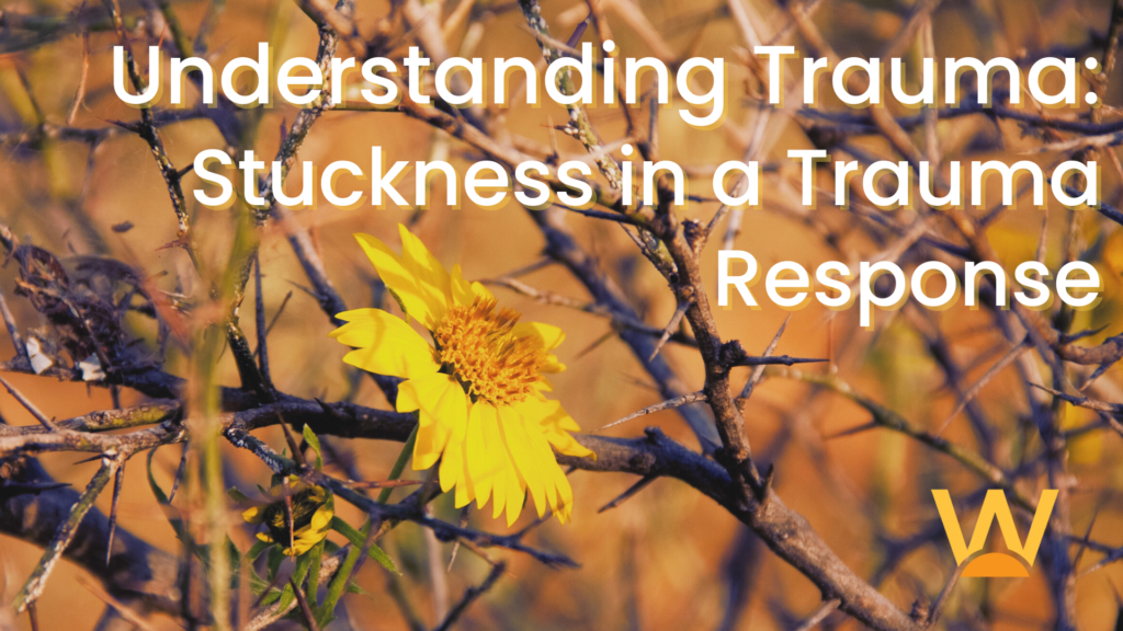 Understanding Trauma: Stuckness in a Trauma Response